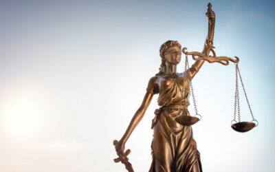 Cost reduction through enterprise search software for lawyers