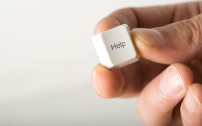 How does search engine software work? A guide for users and companies